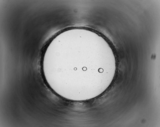 X0000103451456200810241134