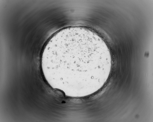 X0000103451457200810241134