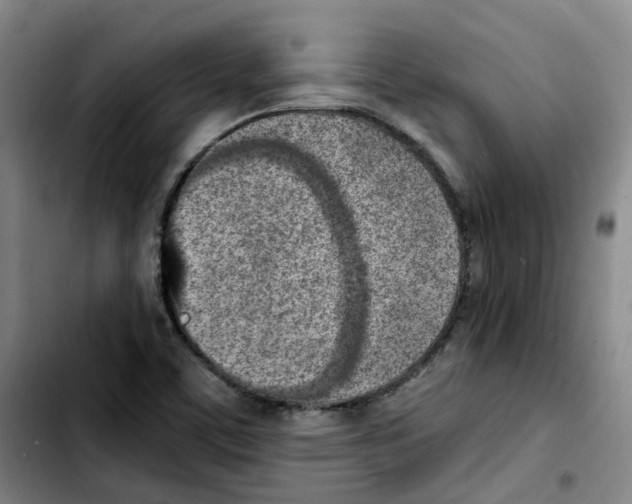 X0000103451459200810241134