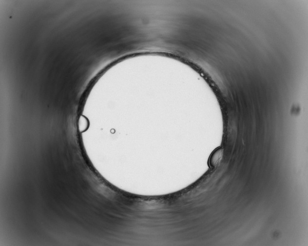 X0000103451460200810241134