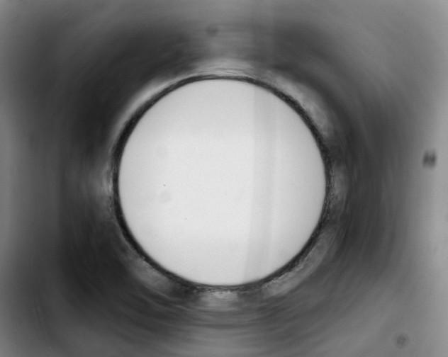 X0000103451462200810241134