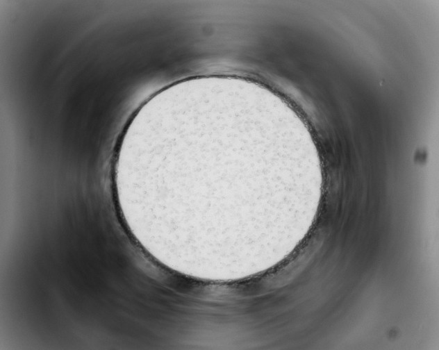 X0000103451463200810241134