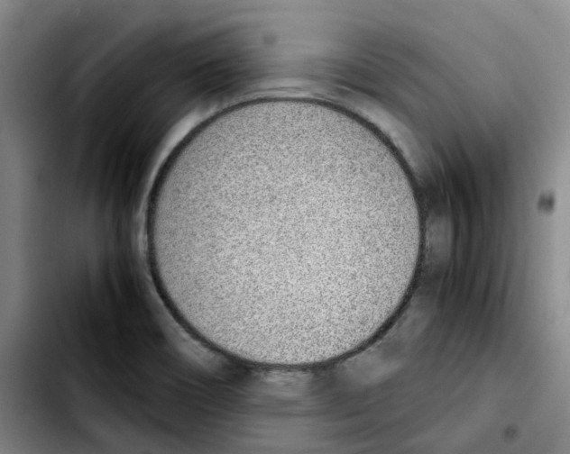 X0000103451466200810241134