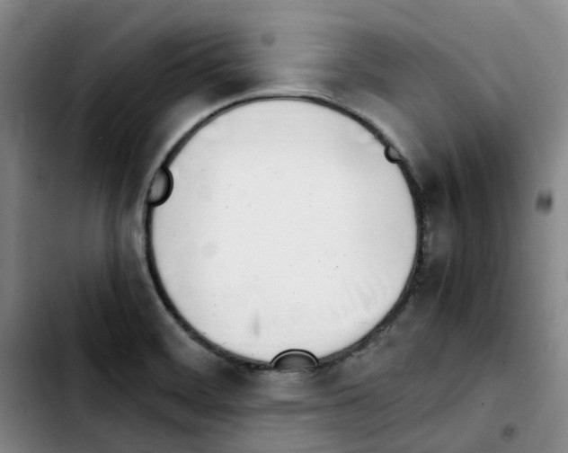 X0000103451468200810241134