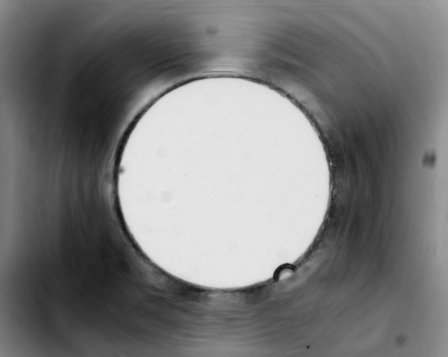 X0000103451469200810241134