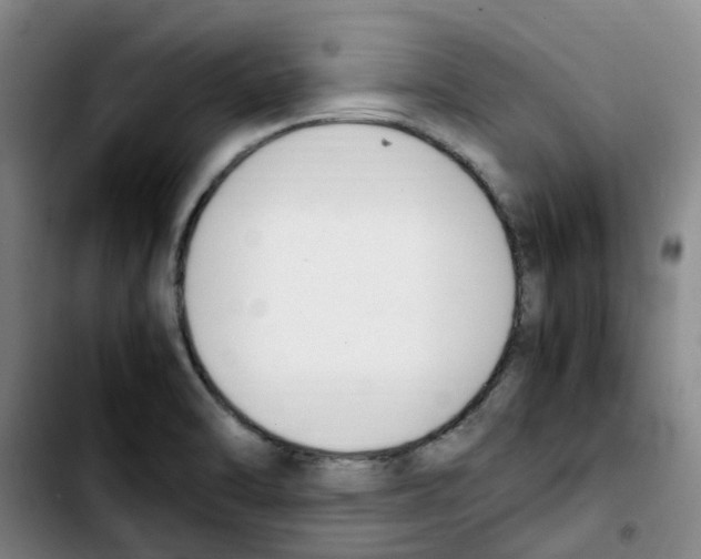 X0000103451470200810241134