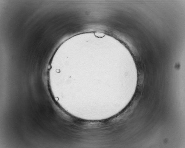 X0000103451471200810241134