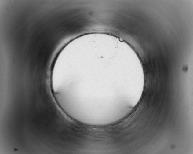 X0000103451472200810241134