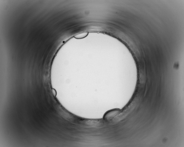 X0000103451473200810241134