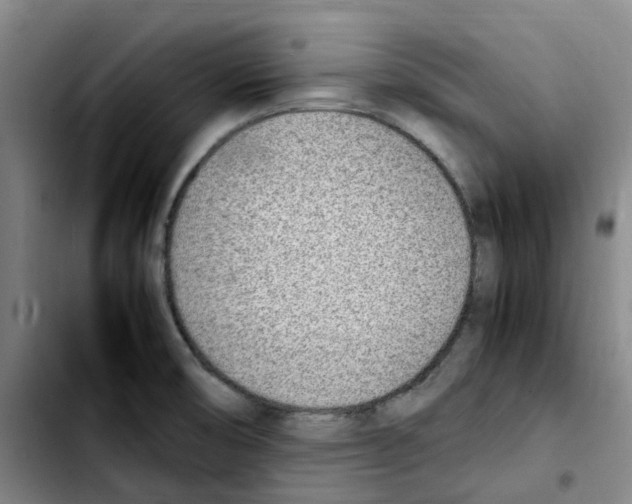 X0000103451474200810241134