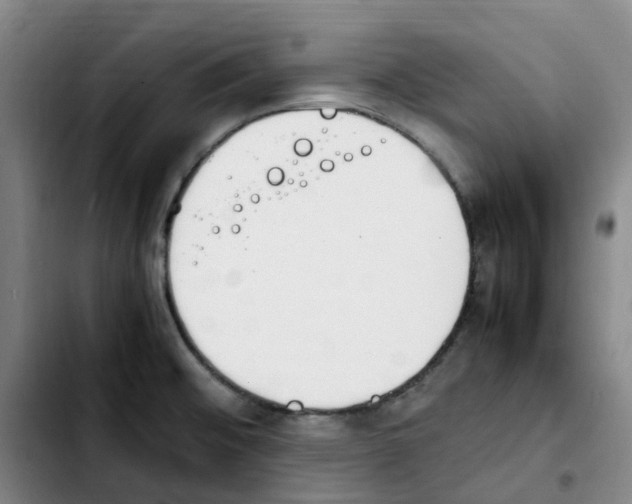 X0000103451476200810241134