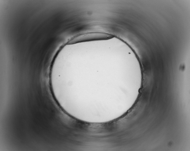 X0000103451477200810241134