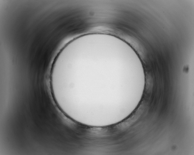 X0000103451478200810241133