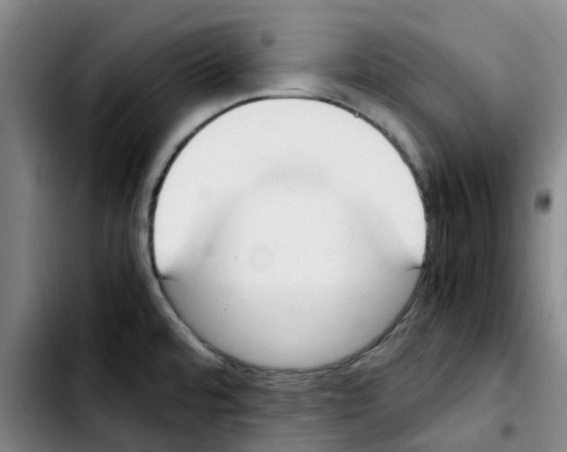 X0000103451480200810241133