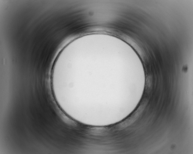 X0000103451482200810241133