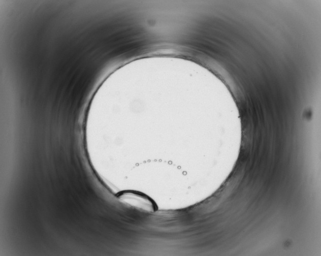 X0000103451483200810241133