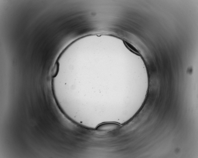 X0000103451484200810241133