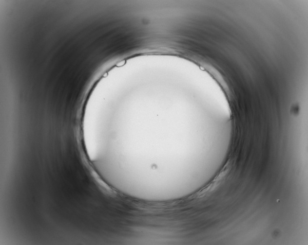 X0000103451485200810241133