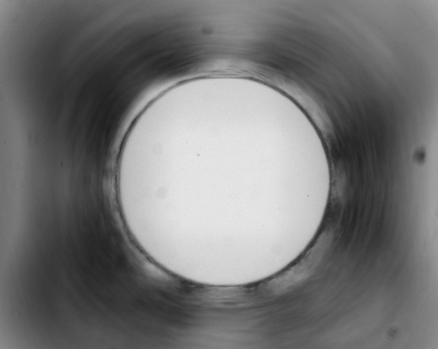 X0000103451486200810241133