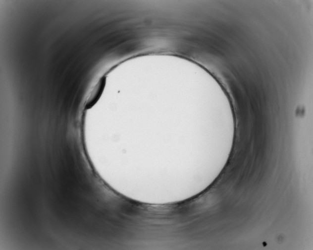 X0000103451488200810241133