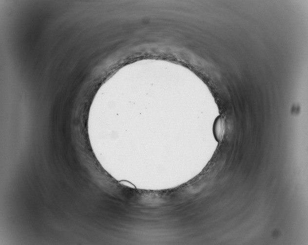 X0000103451489200810241133