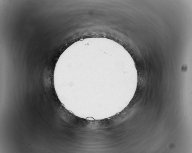 X0000103451490200810241133