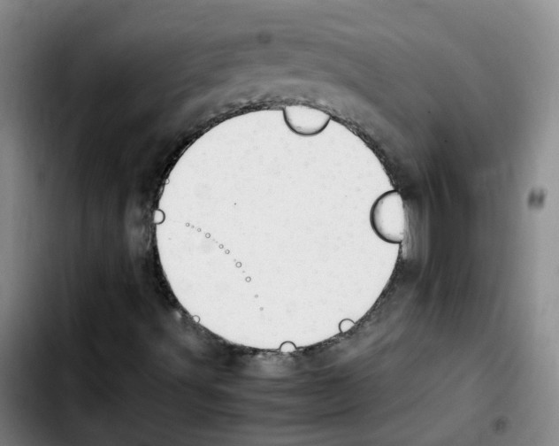 X0000103451491200810241133