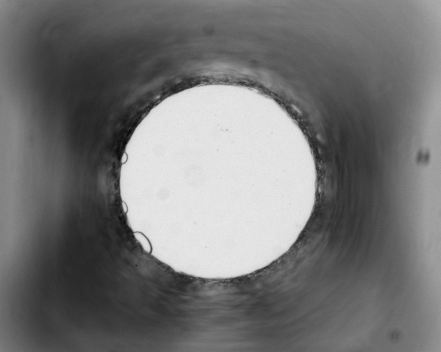 X0000103451493200810241133