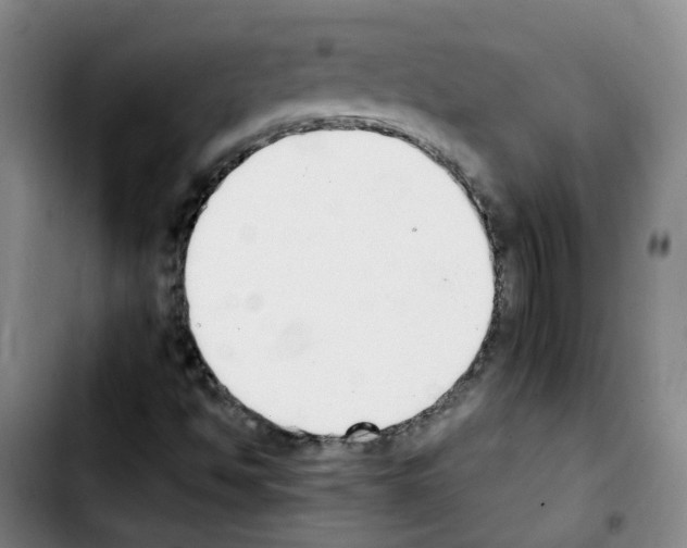 X0000103451494200810241133