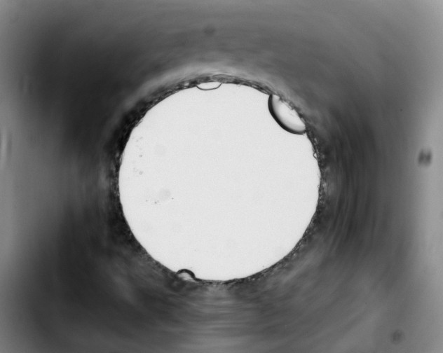 X0000103451495200810241133