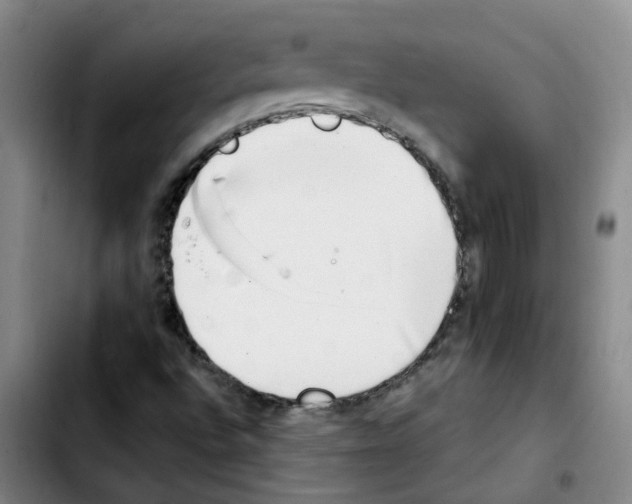 X0000103451496200810241133