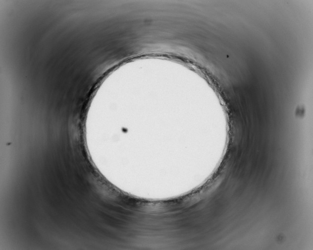 X0000103451497200810241133