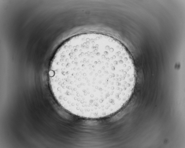 X0000103451499200810241133