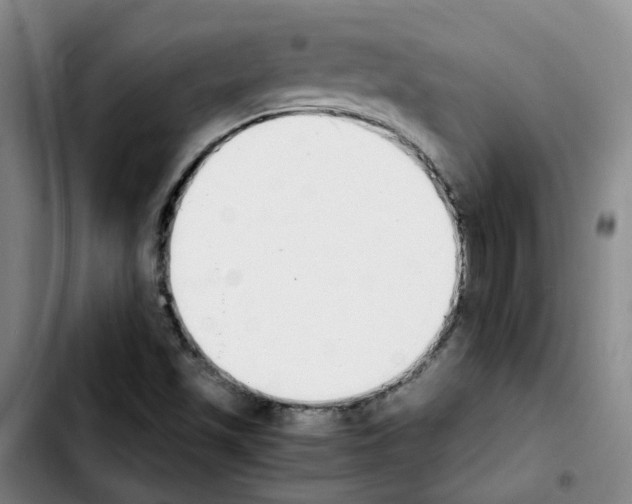 X0000103451501200810241133