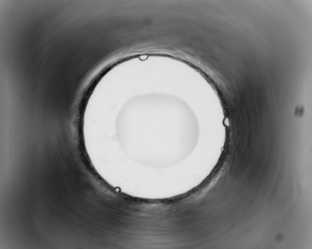 X0000103451502200810241133