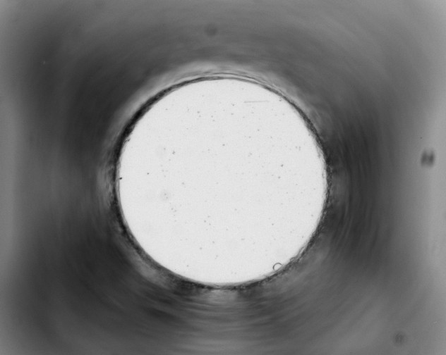 X0000103451503200810241133