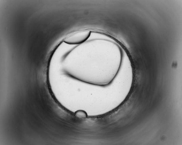 X0000103451504200810241133