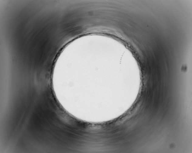 X0000103451505200810241133