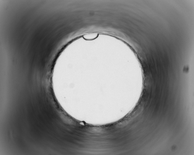 X0000103451507200810241133