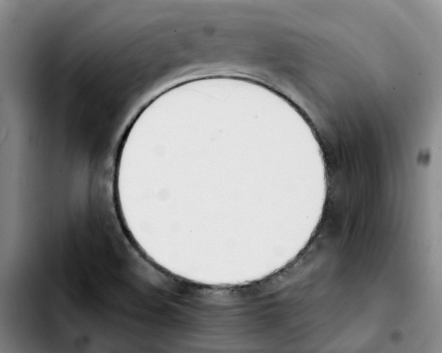 X0000103451508200810241133