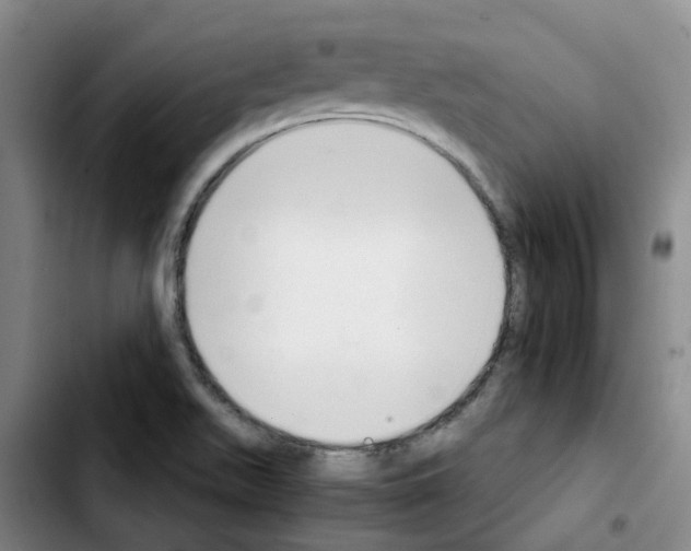 X0000103451511200810241133