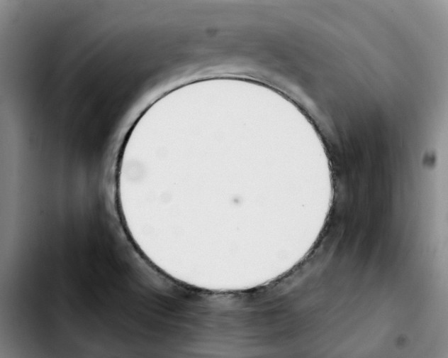 X0000103451512200810241133