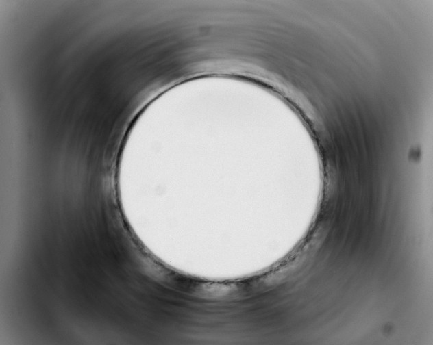 X0000103451513200810241133