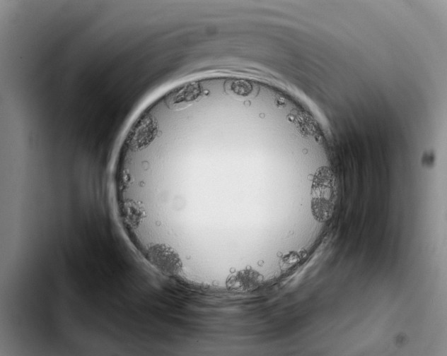 X0000103451514200810241133