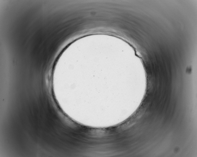 X0000103451515200810241133