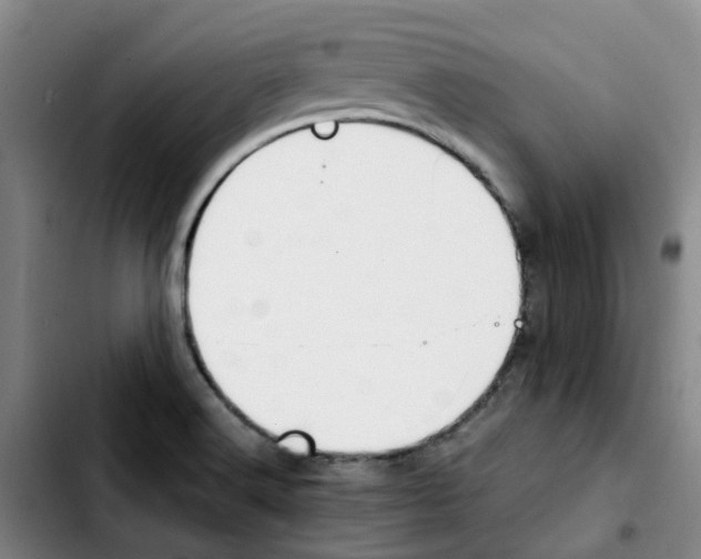 X0000103451516200810241133