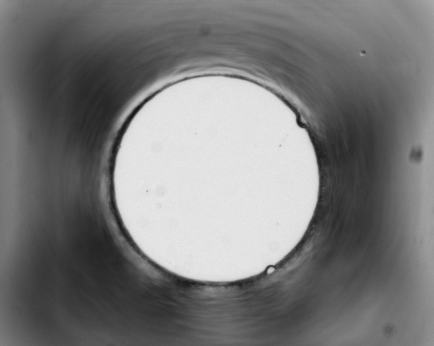 X0000103451518200810241133