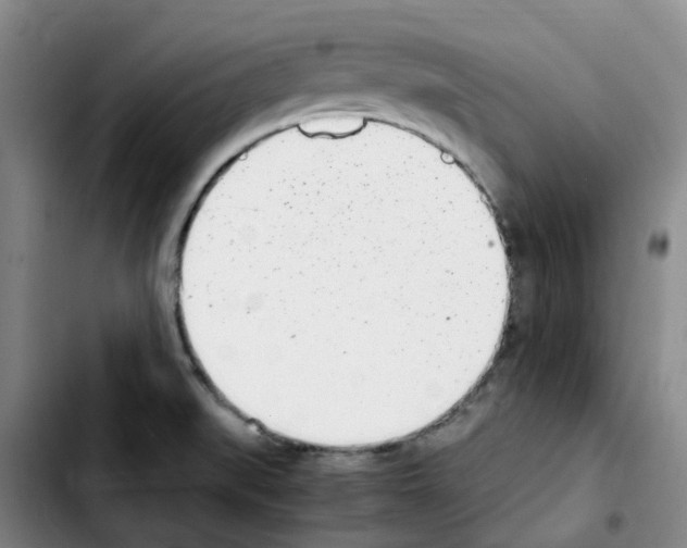 X0000103451519200810241133