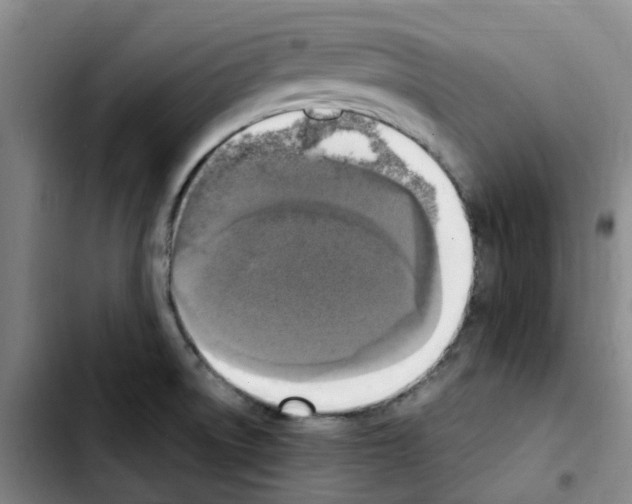 X0000103451522200810241133