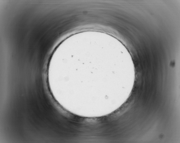 X0000103451523200810241133